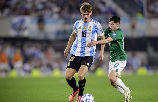 案例分析 案例分析